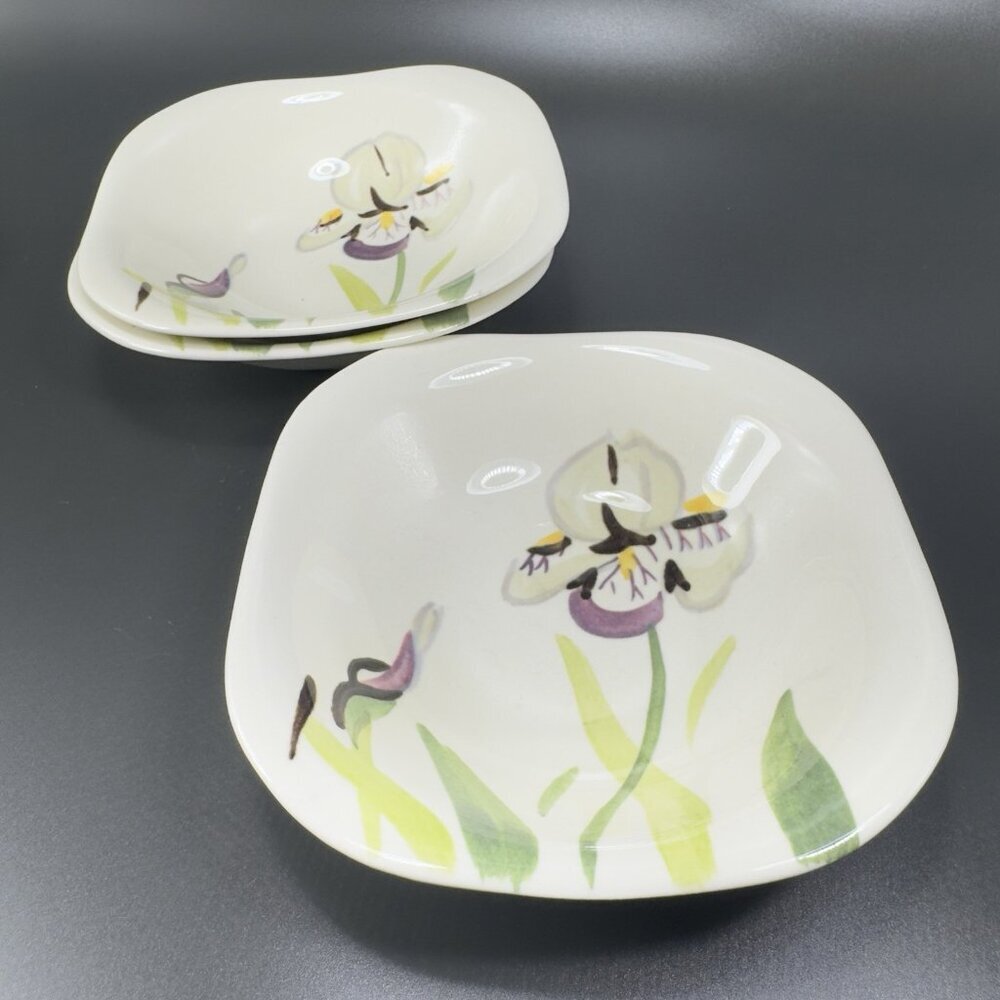 Redwing Pottery Red Wing Hand Painted Iris‎ Deep Dish Bowls 5inch Dishes Set 3